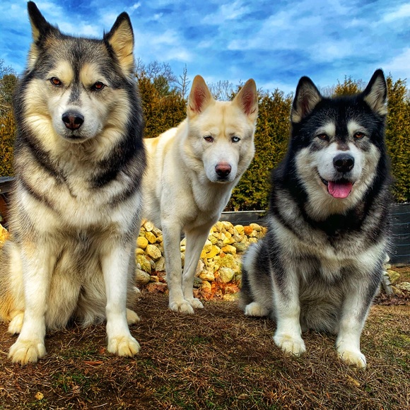 Meet your Posher, Michelle - Picture 2 of 8